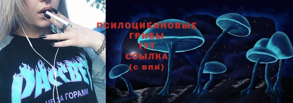 СК Арсеньев