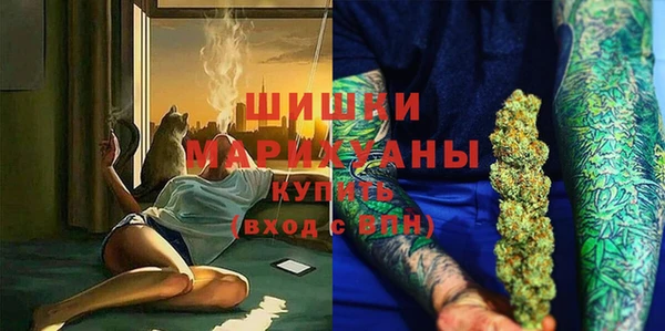spice Аркадак