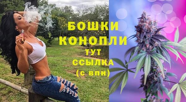 spice Аркадак