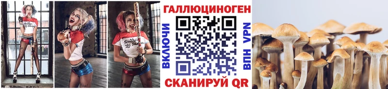 Галлюциногенные грибы MAGIC MUSHROOMS  закладка  Ревда 